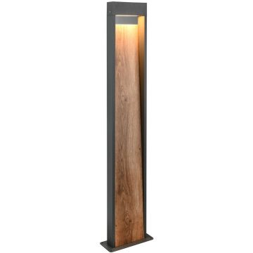 Trio SALMON 446960135 Stovinė lempa 1x11w/led 3000k 1200lm ip44