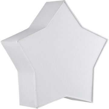 TK Lighting STAR 4514 Lubų šviestuvas 2x15W/E27 IP20