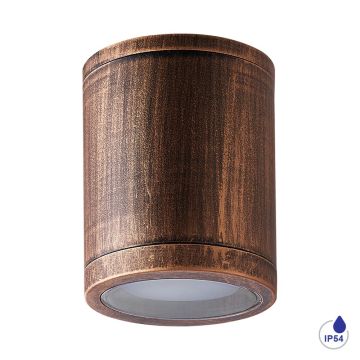 Prezent MOPTI 48333 Lubų šviestuvas 1x12W/E27 IP54