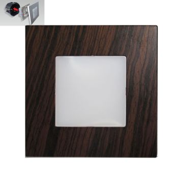 Prezent STEP LIGHT 48306 Lauko laiptų įmontuojama švieslentė 1x1W/LED 60lm IP20