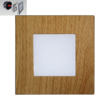 Prezent STEP LIGHT 48307 Lauko laiptų įmontuojama švieslentė 1x1W/LED 60lm IP20