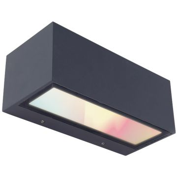 Lutec GEMINI 5189120118 Sienos lempa 1x17w/led 2700-6500k 900lm ip54