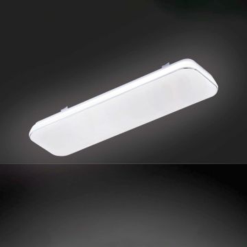 Fischer&Honsel Aldo 20125 Lubų šviestuvas 1x28W/HV-LED 3000K 2900 lm IP20