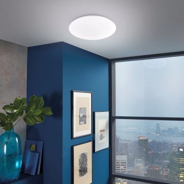 Fischer&Honsel Mona 20923 Lubų šviestuvas 1x18W/LED 3000K 2300 lm IP20
