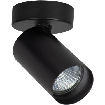 Alfa ALASA 59033 Taškinis šviestuvas 1x10W/GU10