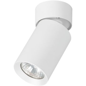 Alfa FLEX 59026 Lubų šviestuvas 1x10W/GU10