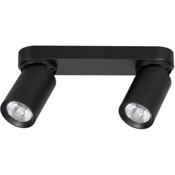 Alfa FLEX 59029 Taškinis šviestuvas 2x10W/GU10
