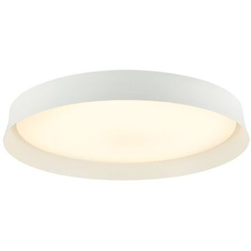 Zambelis CEILING LIGHT 22127 Lubų šviestuvas 20W/led 3000K 2300lm IP20