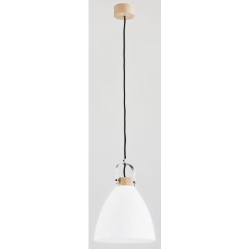 Alfa HERMINA 60365 Pakabinama lempa 1x60W/E27 IP20