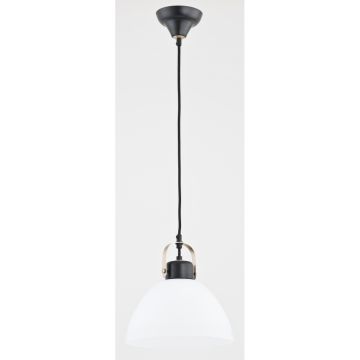 Alfa SARBIN 60332 Pakabinama lempa 1x60W/E27