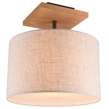Trio ELMAU 602100130 Stropo šviestuvas 1x60w/e27 ip20