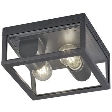 Trio GARONNE 601860242 Stropo šviestuvas 2x10w/e27 ip44