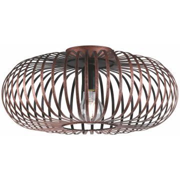 Trio JOHANN 606900162 Stropo šviestuvas 1x60w/e27 ip20