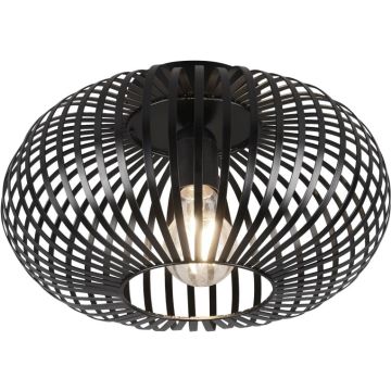 Trio JOHANN 606903032 Stropo šviestuvas 1x60w/e27 ip20
