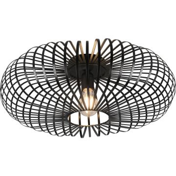 Trio JOHANN 606905032 Stropo šviestuvas 1x60w/e27 ip20