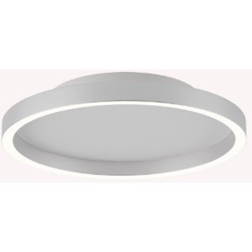 Zambelis CEILING LED LAMP 25161 Lubų šviestuvas 27W/led 2700-3000-4000K 1274-1334-1365lm IP20