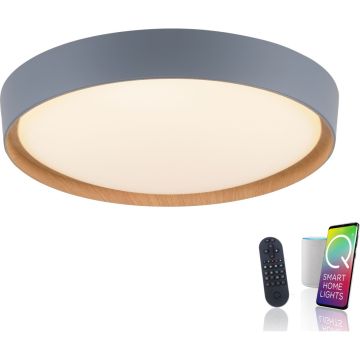 Paul Neuhaus Q-EMILIA 6118-15 Stropo šviestuvas 1x40W/LED 2700-5000k 3720lm ip20