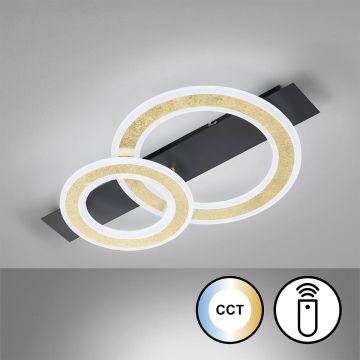 Fischer&Honsel Circle 21433 Lubų šviestuvas 1x20W/LED 2700K 3100 lm IP20
