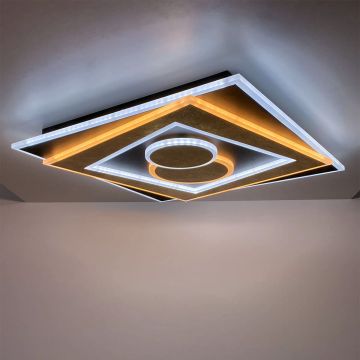 Fischer&Honsel Ratio 21425 Lubų šviestuvas 1x48W/LED 2700K 3800 lm IP20