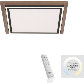 Paul Neuhaus PALMA 6141-79 Stropo šviestuvas 2x50W/LED 2700-5000k 5100lm ip20