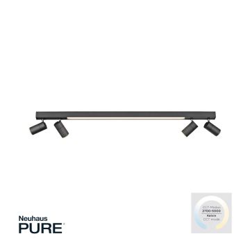 Paul Neuhaus PURE-LINE 6121-13 Taškinis šviestuvas 5x4W/LED CCT 2700K-3000K 1280LM IP20