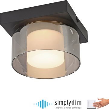 Paul Neuhaus RIKA 6162-18 Stropo šviestuvas 1x6W/LED 3000k 680lm ip20