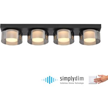 Paul Neuhaus RIKA 6164-18 Stropo šviestuvas 4x24W/LED 3000k 3800lm ip20