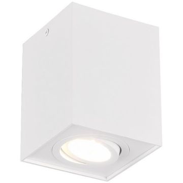 Trio BISCUIT 613000131 Lubų šviestuvas 1x35w/gu10 ip20