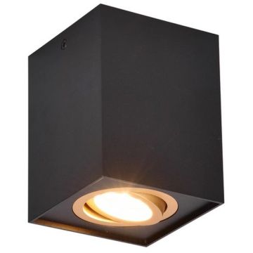 Trio BISCUIT 613000180 Lubų šviestuvas 1x35w/gu10 ip20