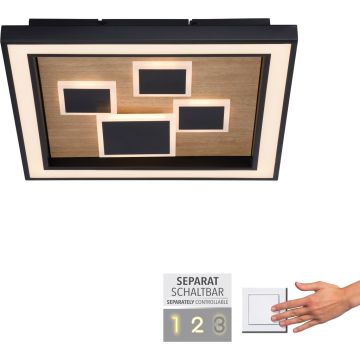 Paul Neuhaus ELIZA 6283-79 Stropo šviestuvas 1x55W/LED 3000k 5760lm ip20