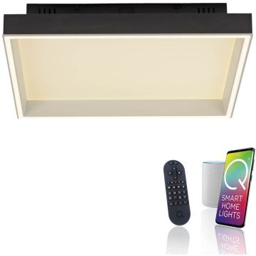 Paul Neuhaus Q-MAGONG 6316-18 Stropo šviestuvas 1x40W/LED 2700-5000k 5700lm ip20
