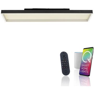 Paul Neuhaus Q-MAGONG 6317-18 Stropo šviestuvas 1x52W/LED 2700-5000k 5800lm ip20