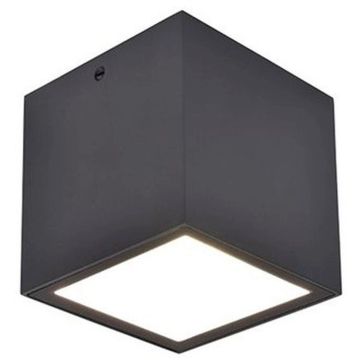 Lutec GEMINI 6389101118 Lubų šviestuvas 1x6.9w/led 4000k 750lm ip65