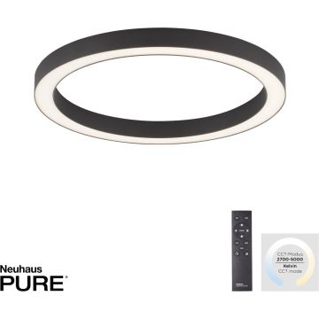 Paul Neuhaus PURE-LINES 6309-13 Stropo šviestuvas 1x30W/LED 2700-5000k 2800lm ip20