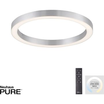 Paul Neuhaus PURE-LINES 6309-95 Stropo šviestuvas 1x30W/LED 2700-5000k 3300lm ip20