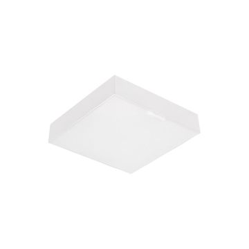 Prezent CANTO SQ 63215 Lubų šviestuvas 1x10W/LED 800lm IP20