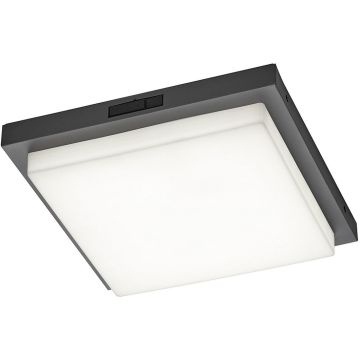 Trio BERMEJO 630369242 Stropo šviestuvas 1x14w/led 2300+3000+4000k 1450lm ip54