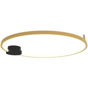 Zambelis CEILING LED LAMP 23097 Stropo šviestuvas 32W/led 3000K 1895lm IP20