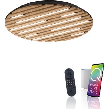 Paul Neuhaus Q-AKUSTIK 6421-79 Stropo šviestuvas 1x38W/LED 2700-5000k 3360lm ip20