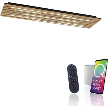 Paul Neuhaus Q-AKUSTIK 6422-79 Stropo šviestuvas 1x48W/LED 2700-5000k 4440lm ip20