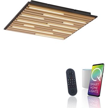 Paul Neuhaus Q-AKUSTIK 6423-79 Stropo šviestuvas 1x35W/LED 2700-5000k 3240lm ip20