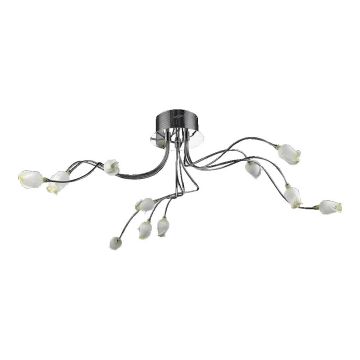 Prezent LOTOSS 64032 Stropo šviestuvas 12x20W/G4 IP20