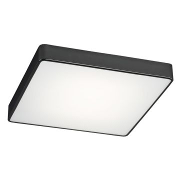 Argon ONTARIO 1580 Lubų šviestuvas 4x15W/E27 IP20