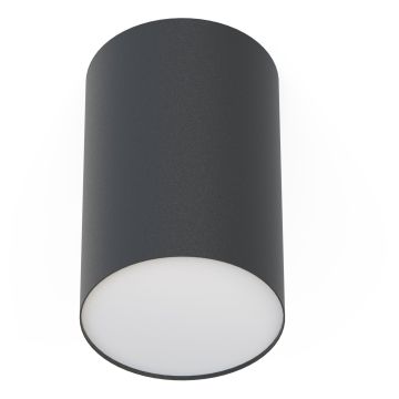 Nowodvorski POINT PLEXI L 6530 Lubų šviestuvas 1x20W/E27 IP20