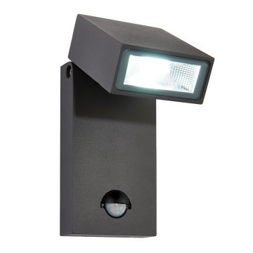 Endon MORTI PIR 67686 Sienos lempa 10W/LED 4000K 620LM IP44
