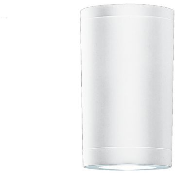 Zambelis CEILING LIGHT E308 Lubų šviestuvas 1x7W/GU10 IP54