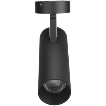 Maxlight SHINEMAKER C0210 Lubų šviestuvas 1x15w/led 3000k 1327lm ip20