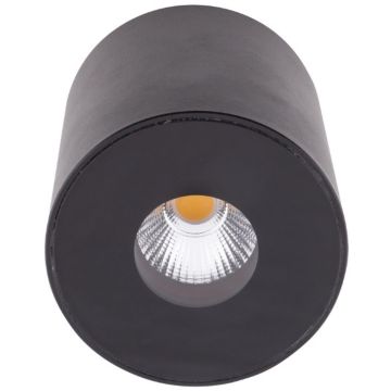 Maxlight PLAZMA C0151 Lubų šviestuvas 1x13w/led 3000k 572lm ip54