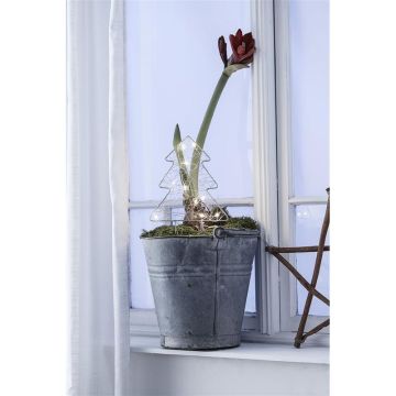 Markslojd GARDENER 703775 Stovinti dekoracija 1x0,32W/LED