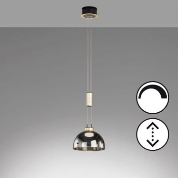 Fischer&Honsel Avignon 61013 Pakabinama lempa 1x9W/LED 2700K 1000 lm IP20